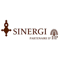 SINERGI